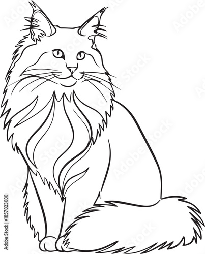 Elegant longhaired cat sitting