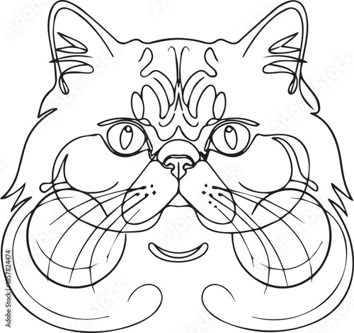 Whiskered feline portrait