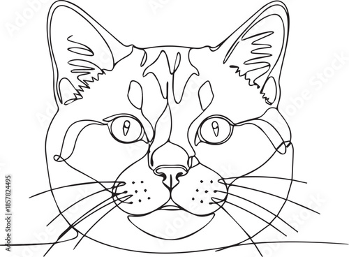 Line drawing of a cat's face