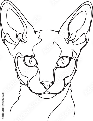 Sphynx cat line art