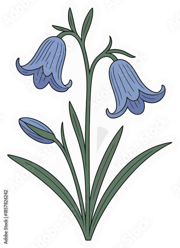 Bluebell flower illustration vector logo, spring bloom plant with green leaves and buds