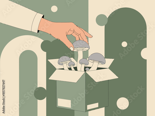 A hand gently picks mushrooms from a grow kit box. Modern, minimalist design with organic elements. Perfect for lifestyle and wellness visuals.