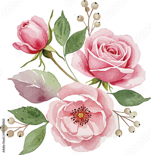 Seamless pattern with beautiful pink rose flowers and green leaves featuring blooming buds and delicate petals isolated on a white background for a floral spring garden nature concept