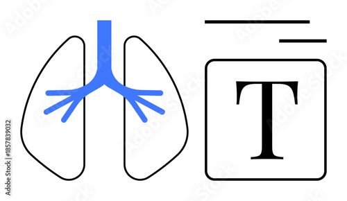 Health education, respiratory system, medical research, anatomy studies, text design, infographic concepts. Stylized lungs with air passages highlighted, next to a typography letter. Health education