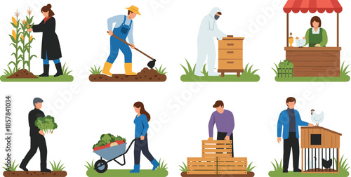 Farm workers performing various agricultural activities harvesting crops, gardening, beekeeping, selling produce and caring for livestock, rural farming illustration