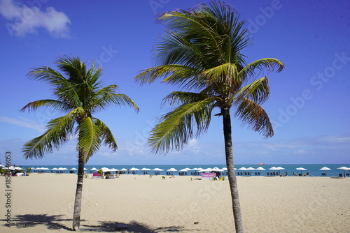 A very beautiful, wide sandy beach in northeastern Brazil, on the Atlantic Ocean in Fortaleza – Ceará, Brazil..
