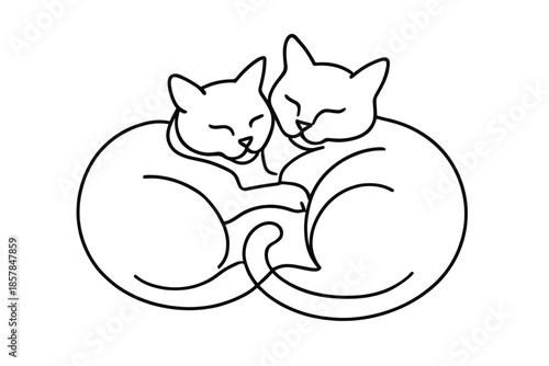 Two cute cats sleeping together in a circle, a symbol of love and friendship