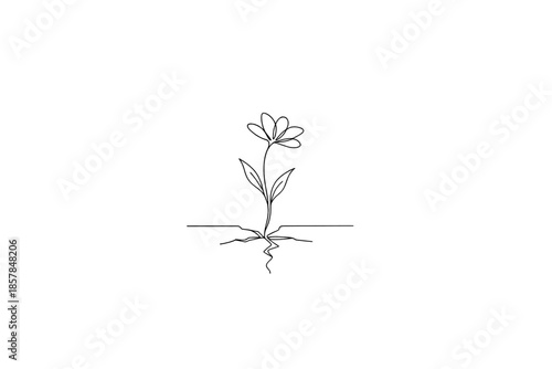 Minimalist single line drawing of a flower growing through cracked earth, symbolizing resilience