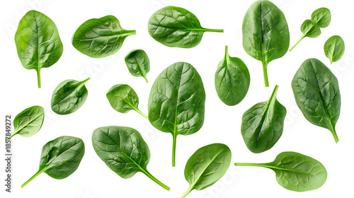 Collection of fresh vibrant green spinach leaves scattered and floating against transparent background symbolizing healthy eating
