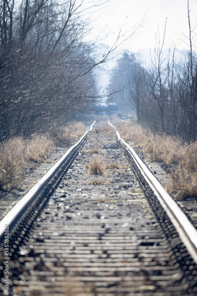 Fototapeta premium Gleisbett einer stillgelegten Bahnstrecke