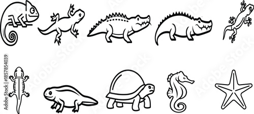 Collection of various reptiles and marine animals in black and white