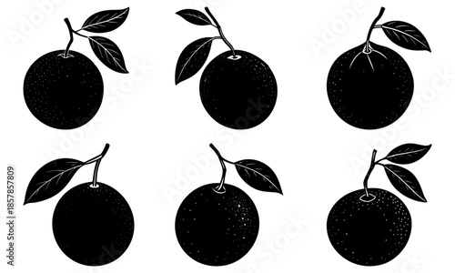 Five Black Longan Fruits with Leaves on White Background silhouette