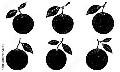 Five black longan fruits with leaves on white background silhouette leaf
