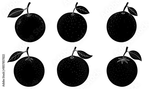 Five black longan fruits with leaves on white background silhouette leaf 1