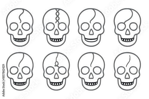 Cranial Thread Connections. Line style icons of thread-like cranial connections: fine bone lines, woven skull paths, filament