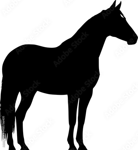 horse sillouette 
