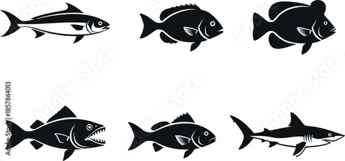 Set of Six Black and White Fish Vector Icons Including Shark Bass and Tropical Species for Fishing Logos and Marine Design