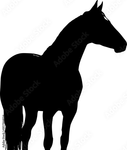 horse sillouette