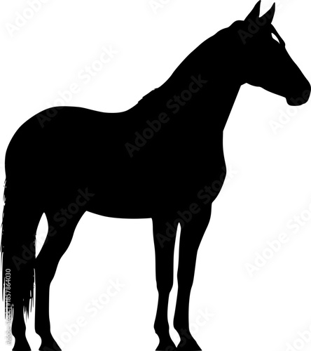 horse sillouette