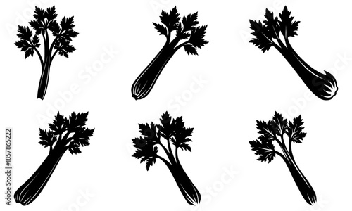 Six Black Carrot Silhouettes on White Background vegetable