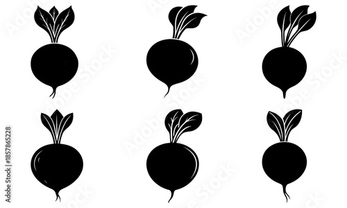 Six black beets with green leaves on white background vegetable vegetables