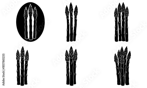 Black and white asparagus bunch silhouettes on white background vegetable