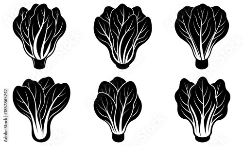 Six black and white leafy vegetable silhouettes on a white background lettuce cabbage