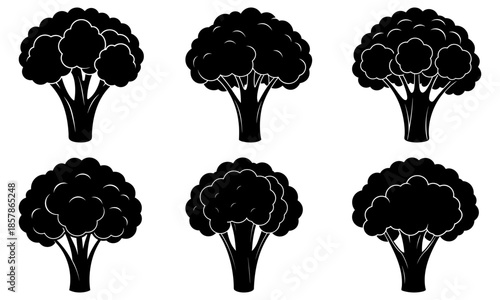 Six black and white broccoli on a white background vegetable silhouette