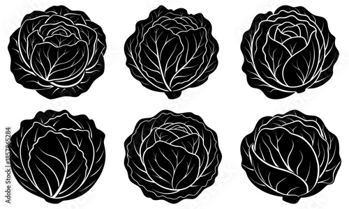 Six Black and White Cabbage Silhouettes on White Background vegetable plant