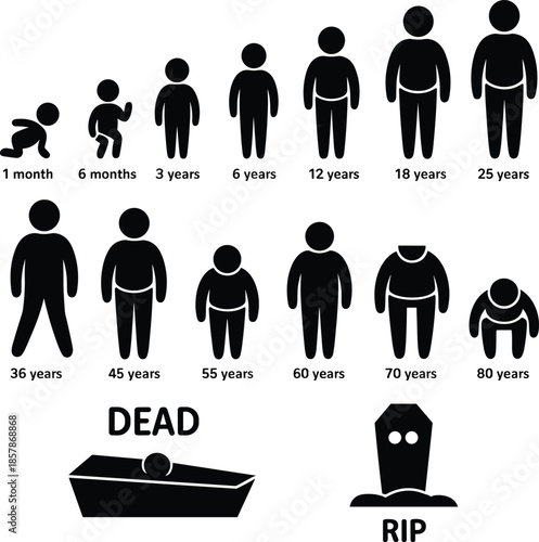 Human life cycle and aging icon set showing growth from baby to adult, elderly stages and death concept, lifespan progression pictograms, flat design, isolated on white