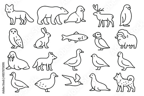 Arctic Wildlife Icons. Line style icons of arctic wildlife: arctic fox, polar bear, seal, penguin, snowy owl, hare, reindeer,
