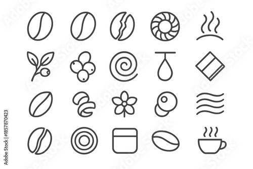 Coffee Flavor Icons. Line style icons of coffee beans and flavor: roasted bean, green bean, cracked shell, grinder burr, aroma