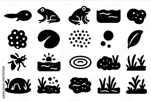 Frog Life Cycle Icons. Solid style icons of Frog life cycle: tadpole, froglet, full frog, pond water, egg cluster, lily pad,