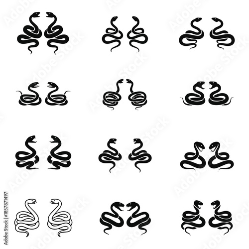 Pair of snakes coiling and facing each other in various poses, creating symmetrical patterns on a white surface, evoking a sense of duality and balance.