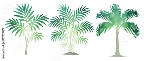 Set Watercolor palm trees objects. Hand drawn. Not AI, vector illustration.