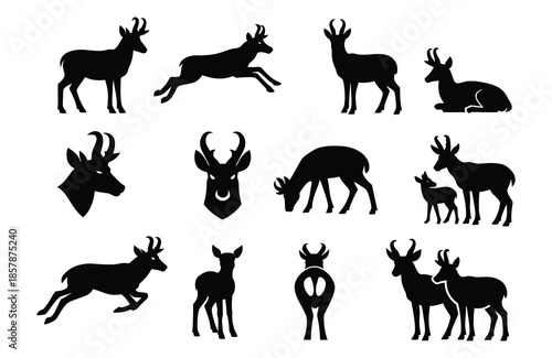 Black pronghorn antelope silhouettes in various poses and views animal wildlife white