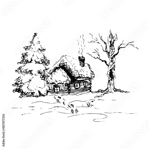 Landscape with a Christmas tree and a house.