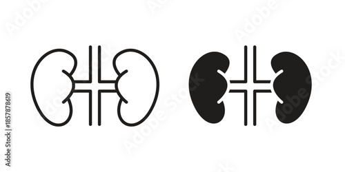 Kidney icons. silhouette icon vector flat illustration on white background. line art icons