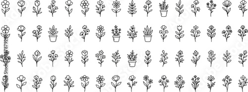 Foto Flower and botanical icon set, vector glyph silhouettes featuring magnolia, dahl
