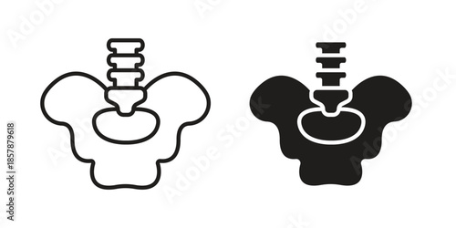 Pelvic area icons. silhouette icon vector flat illustration on white background. line art icons