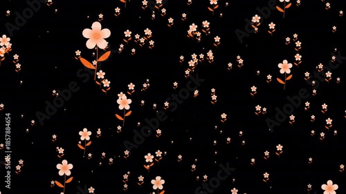 Seamless looping animation of falling flowers on transparent background. Gentle decorative motion ideal for holiday videos, celebrations, invitations, overlays, titles, and elegant seasonal projects.