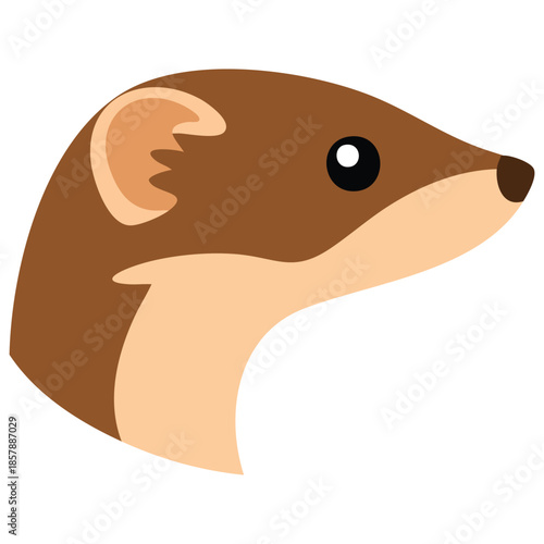 Animal weasel design isolated vector illustration on white background