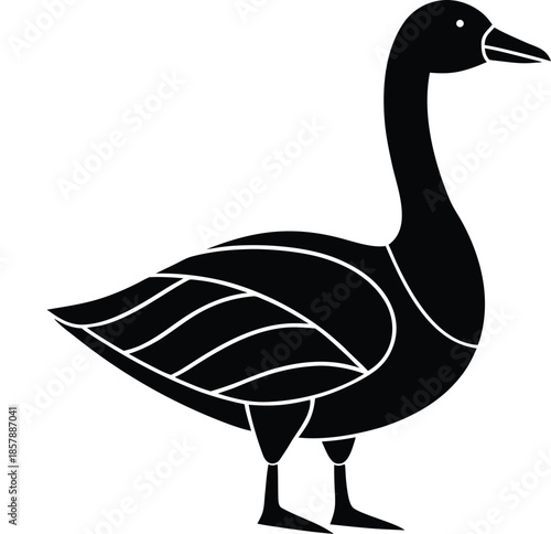 Goose bird farm poultry avian water vector illustration on white background