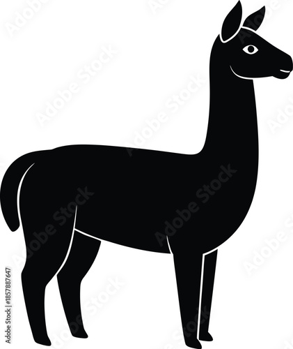 Llama standing farm mammal animal vector illustration on white background