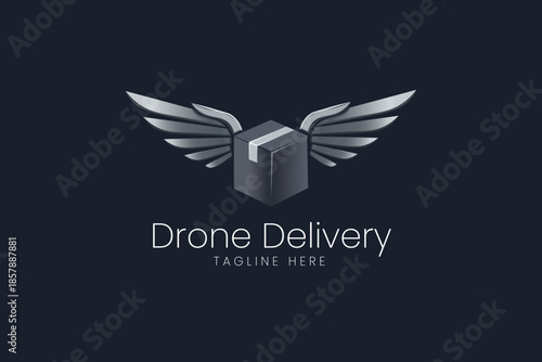 Delivery box with wings icon representing fast shipping courier services and logistics Vector logo template