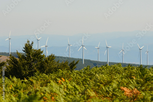 Éoliennes occitanes