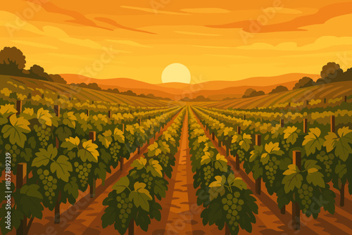 Sunset Vineyard. Scenic vineyard at sunset with lush grapevines stretching to the horizon, warm golden vector illustration light,