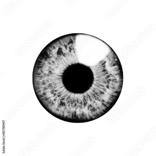 Black and white halftone illustration of a human iris close-up. Minimal dotted graphic style, concept of vision, identity, biometrics, perception, surveillance and abstract anatomy.