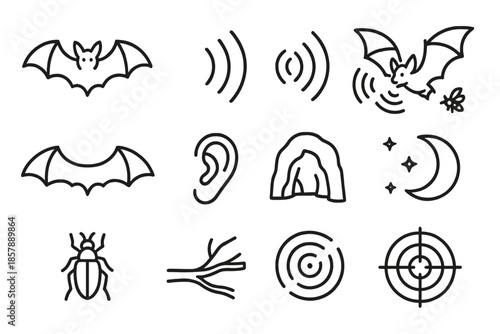 Bat Navigation Icons. Line style icons of Bat Navigation: Bat, Sound Wave, Echo, Hunting; Wings, Ear, Cave, Moon; Insect, Tree