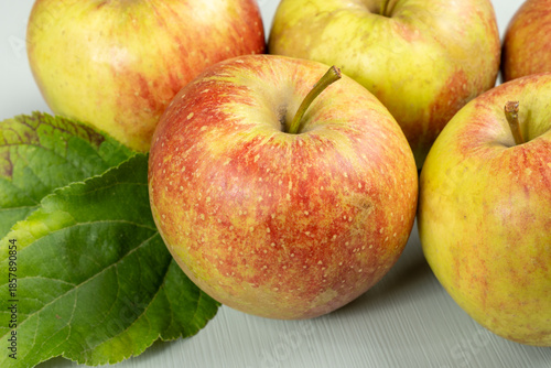 New harvest of french sweet red green apples, tasty healthy fruits with green leaves